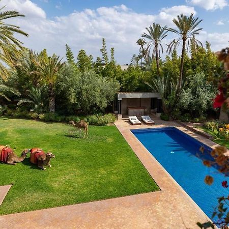 Villa Sahar Palmeraie Avec Piscine Chauffee ! Marrakesh Esterno foto